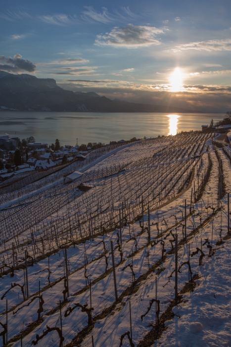 Fin de journée dans le Lavaux - 011